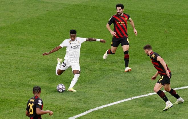 他们期待看 他们期待看