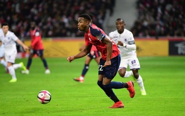 喜與感動 喜與感動