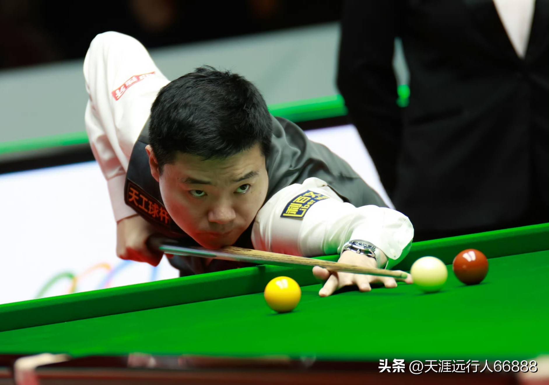 先看风险指 先看风险指